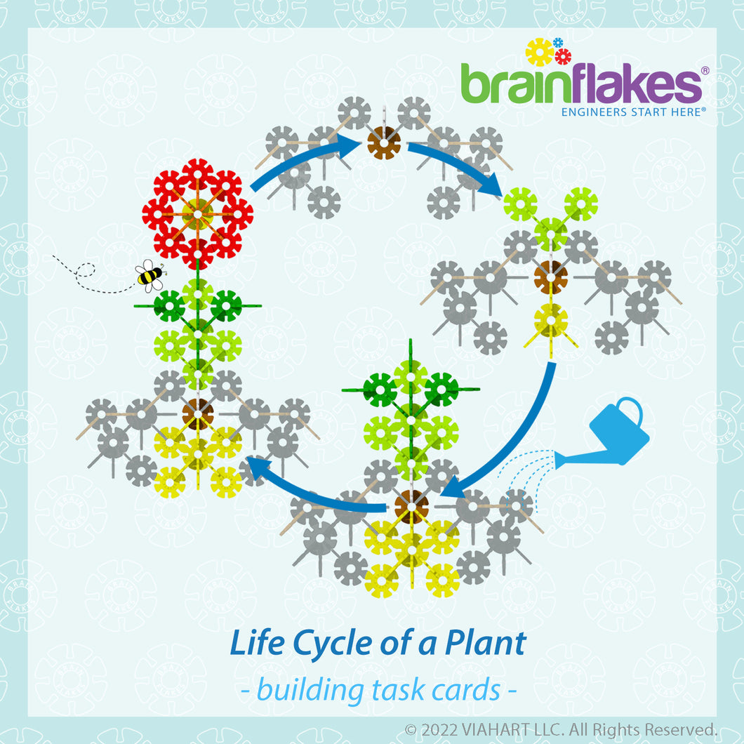 Plant Life Cycle Task Cards