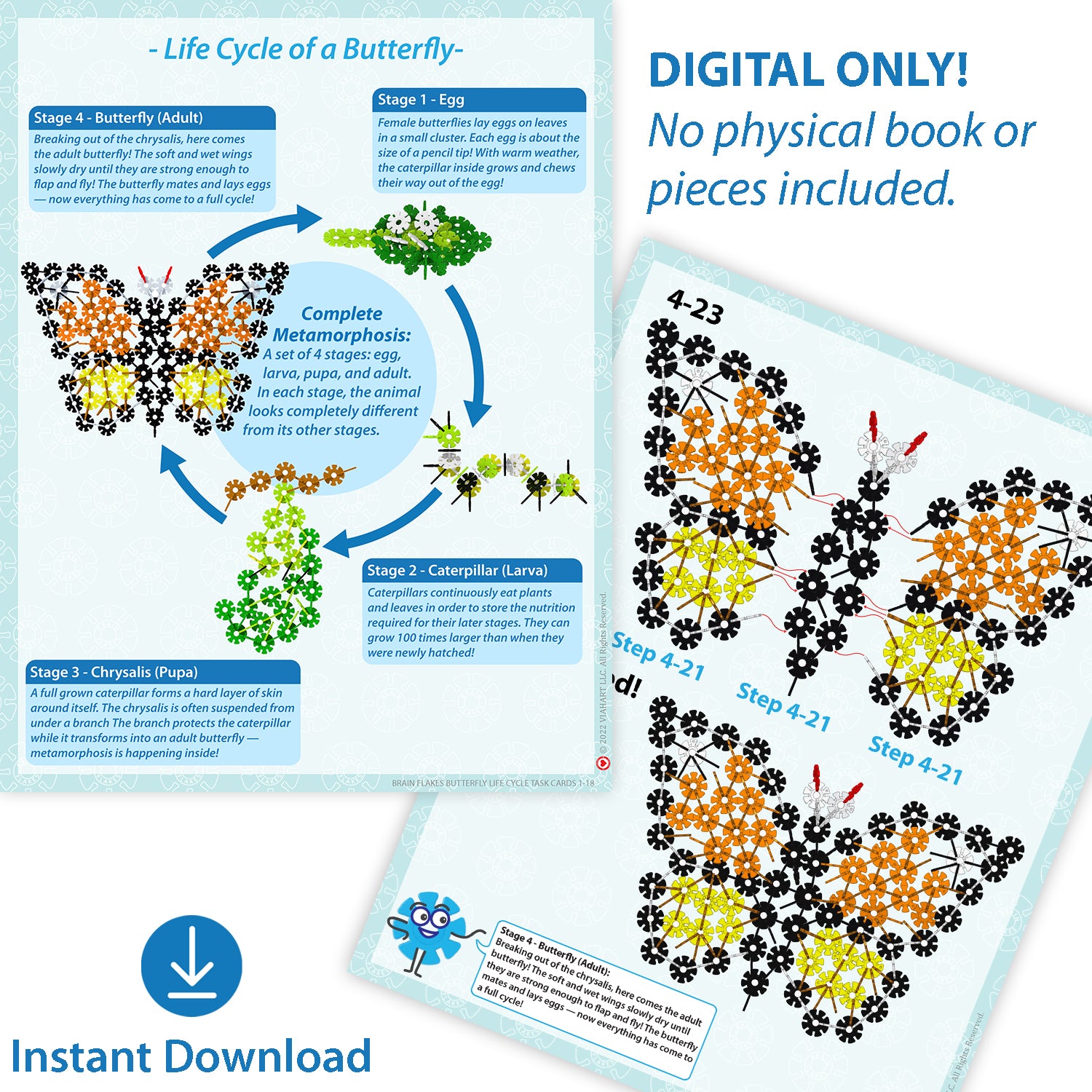 Life Cycle Of A Butterfly Sparklebox