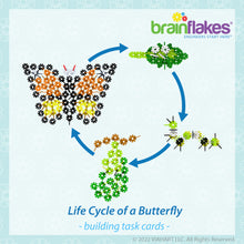Load image into Gallery viewer, Butterfly Life Cycle Task Cards
